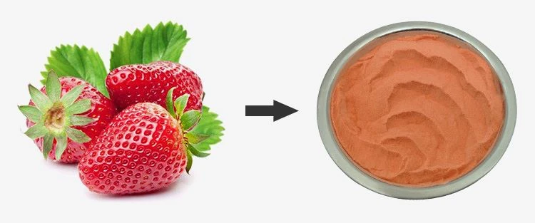 Strawberry Juice Powder 1