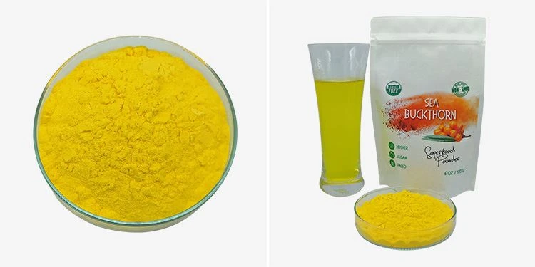 Sea Buckthorn Juice Powder 2