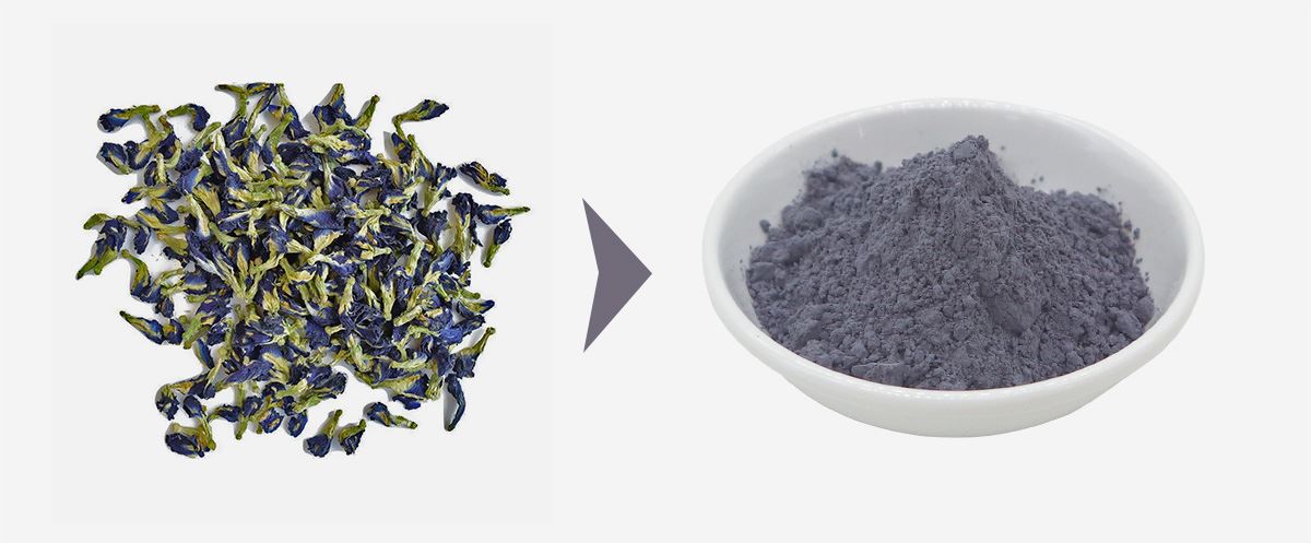 Butterfly Pea Flower Powder 1 Butterfly Pea Flower Powder 1