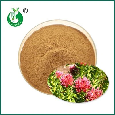 Salidroside Powder Salidroside Powder