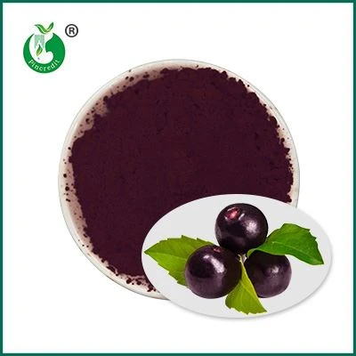 Pure Acai Powder