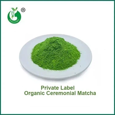 USDA Organic 인증을 받은 의식용 매치를 찾고 계십니까?